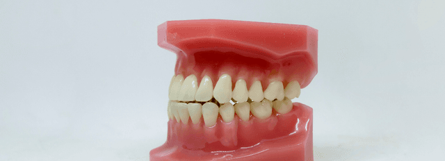 Gum disease, also known as periodontal disease, affects 20% to 50% of older adults (1). A build-up of dental plaque causes an infection on the gums, leading to periodontal disease. …